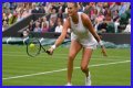 Wimbledon 2021: Aryna Sabalenka vs Karolina Pliskova Preview, Head to Head and Prediction